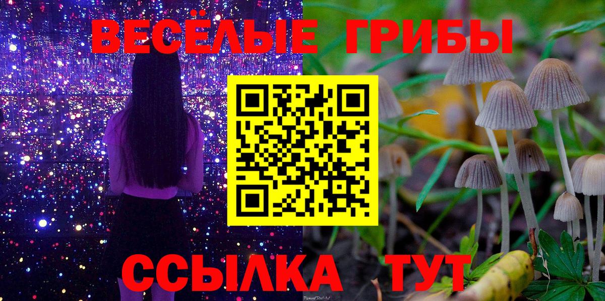 Галлюциногенные грибы Magic Shrooms  Псилоцибиновые грибы Psilocybine cubensis  Красноармейск  Вход с VPN 