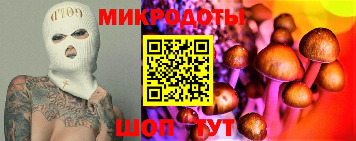 Галлюциногенные грибы мухоморы Красноармейск